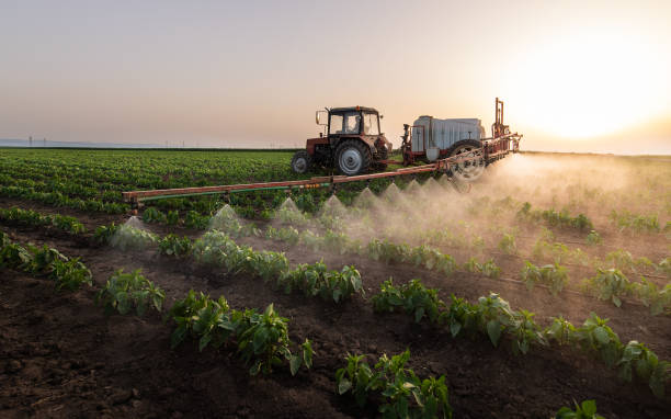 Insect Control in Purdy, MO